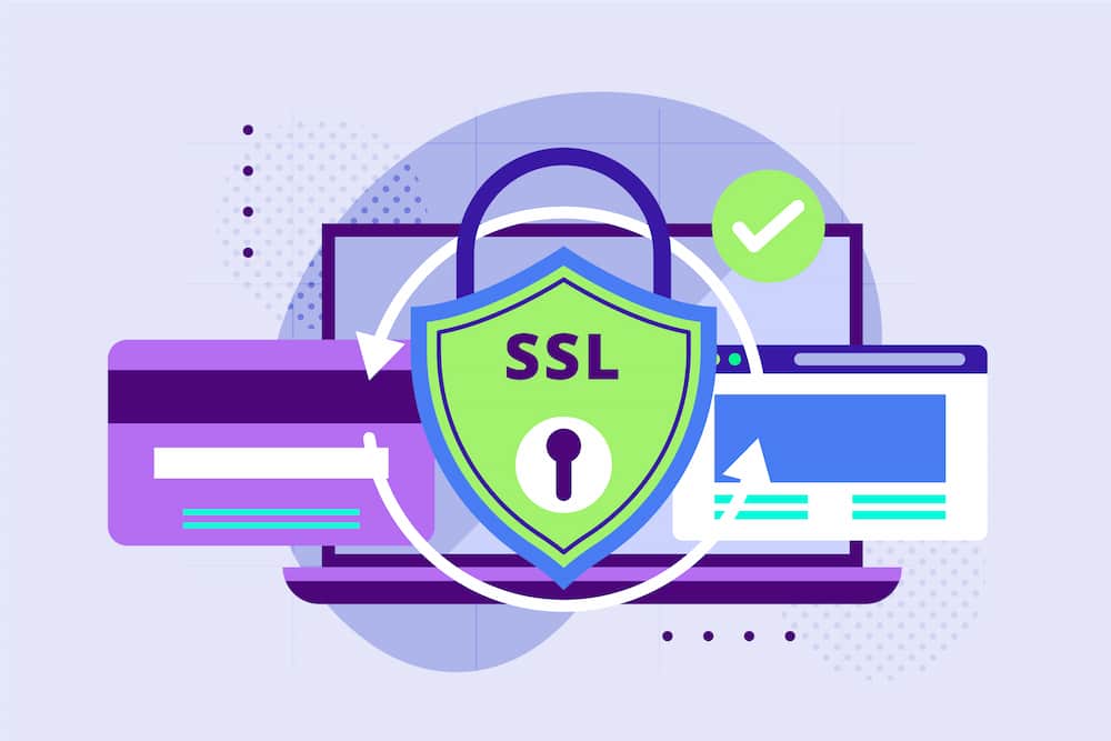 Seguridad en las Tiendas Online: Cómo Proteger los Datos de tus Clientes seguridad en las tiendas online-ssl